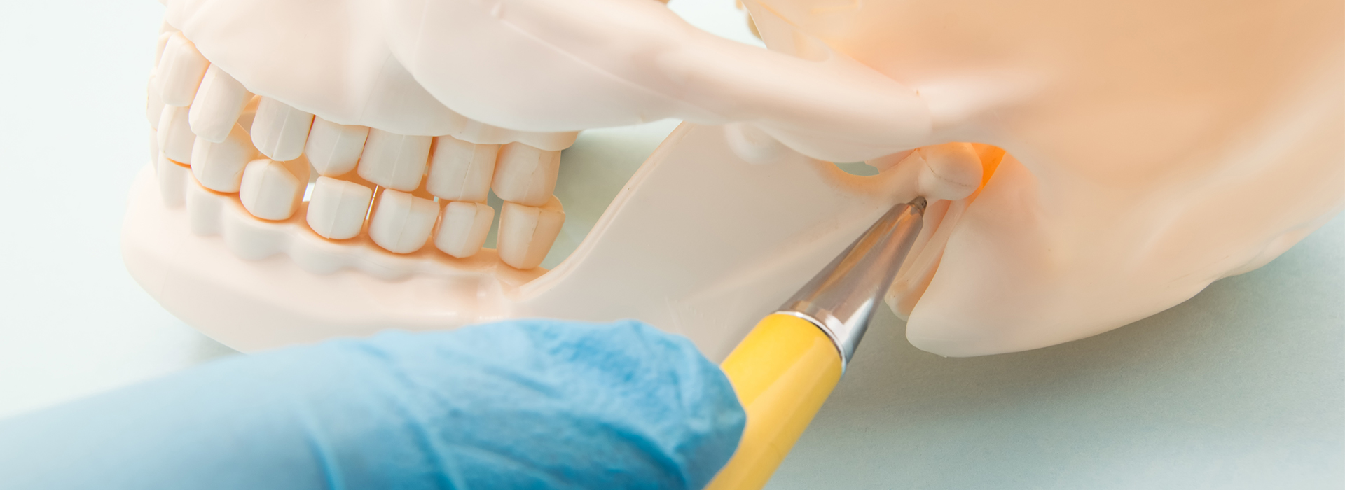 A close-up photograph of a person s hand holding a small tool near a model human tooth, with a focus on dental care equipment.