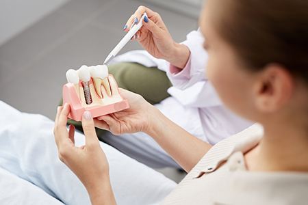 A person holding a model of teeth while sitting in a dental office setting.